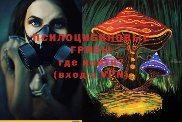 каннабис Куйбышев