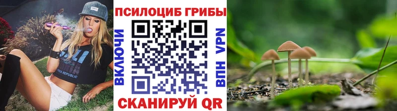 Псилоцибиновые грибы прущие грибы Темников